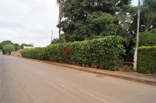 chacara-venda-rua-joaquim-brochado-sao-sebastiao-paracatu-mg-415966